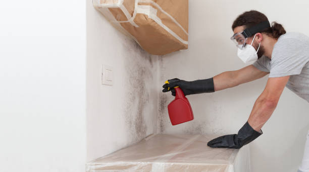 Professional Mold Testing technician working in Stow, MA
