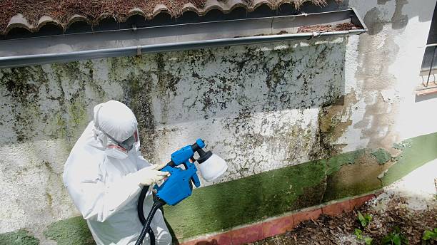 Trusted Crawl Space Mold Removal service in Stow, MA - Cheap Mold Removal
